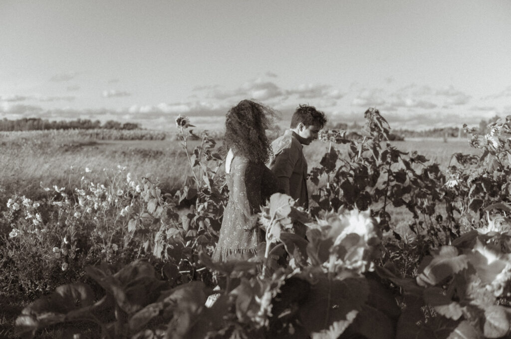 Couple in sunflower field in a sunflower field.