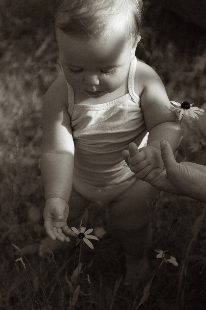 Little girl playing with flower in Sudbury field documented by a Sudbury photographer. 