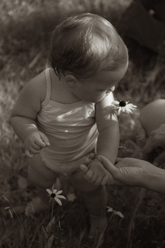 Little girl playing with flower in Sudbury field documented by a Sudbury photographer. 