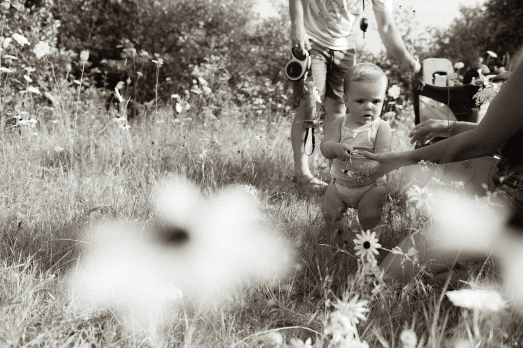 Little girl playing with family in Sudbury field documented by a Sudbury photographer. 