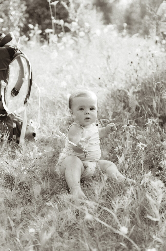 Little girl playing with flower in Sudbury field documented by a Sudbury photographer. 