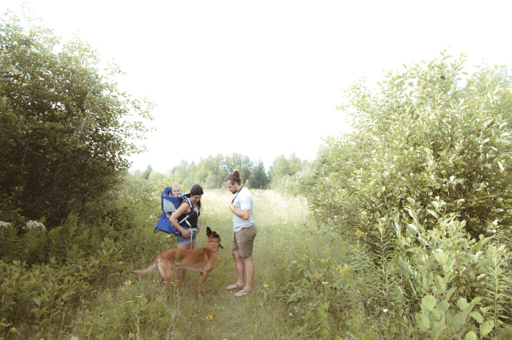 Family in Sudbury field documented by a Sudbury photographer. 